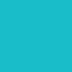 #17 Mint