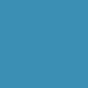 #19 Teal