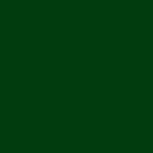#20 Bottle Green