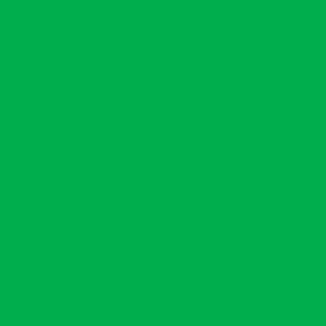 #22 Spring Green