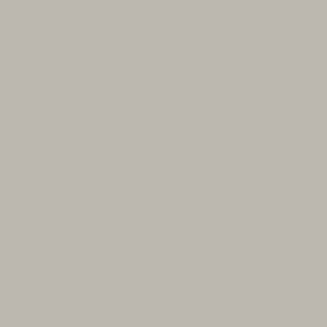 #2 Warm Grey